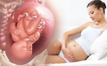 【胎位不正】孕婦胎位不正怎么辦_胎位不正能順產嗎_胎位不正臨床表現
