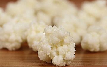 【雪蓮菌】雪蓮菌的營養價值_雪蓮菌的功效和作用_什么牌子的雪蓮菌好 【雪蓮菌】雪蓮菌的營養價值_雪蓮菌的功效和作用_什么牌子的雪蓮菌好