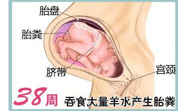 【懷孕38周】懷孕38周發(fā)育指標(biāo)檢查_懷孕38周胎兒變化_媽媽狀態(tài)_懷孕38周注意事項(xiàng) 【懷孕38周】懷孕38周發(fā)育指標(biāo)檢查_懷孕38周胎兒變化_媽媽狀態(tài)_懷孕38周注意事項(xiàng)