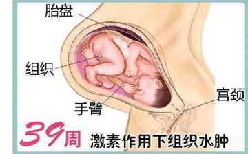 【懷孕39周】懷孕39周發(fā)育指標(biāo)檢查_懷孕39周胎兒變化_媽媽狀態(tài)_懷孕39周注意事項(xiàng)