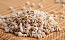 薏仁米有什么功效？薏仁米的食用方法