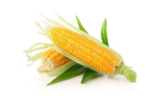 玉米有什么營養(yǎng)價值？玉米的美味做法