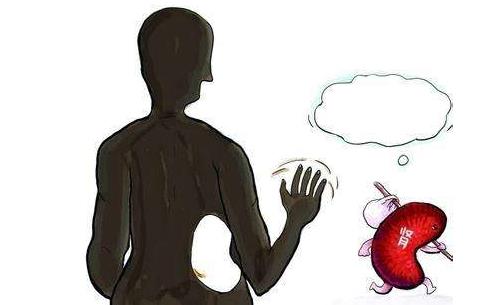 腎功能檢查什么？腎功能檢查的項目