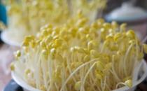 豆芽要如何正確保存？