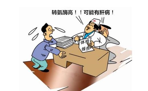 轉(zhuǎn)氨酶高會帶來什么危害
