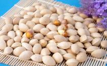 腎虛怎么辦，這幾種食物讓你壯陽補腎