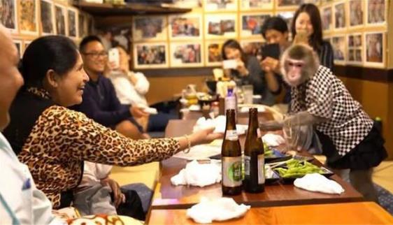 日本最火爆的餐廳之一 猴子當服務(wù)生，報酬只要香蕉