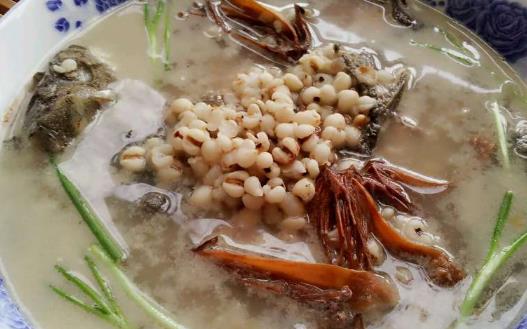 薏米吃對了除濕益氣，試試這幾個薏米的食療方