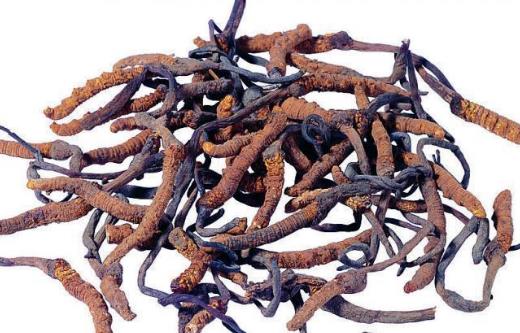 總是疲勞沒精神，濕熱體質(zhì)的你如何調(diào)理才能恢復(fù)健康