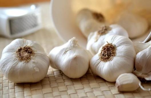 食物有助提高免疫力？9種食物不可錯過！
