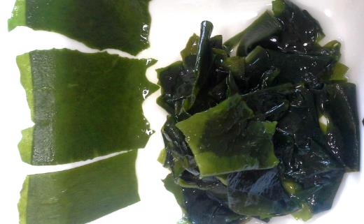 食物有助提高免疫力？9種食物不可錯過！