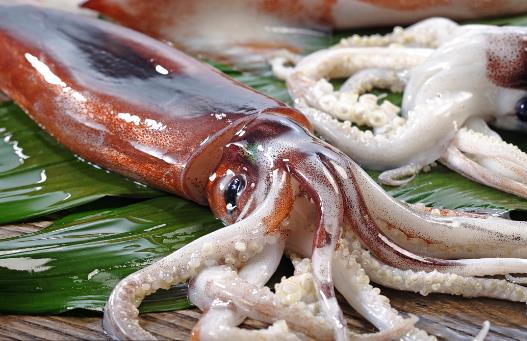 魷魚(yú)、花枝和軟絲傻傻分不清？教你一招來(lái)辨認(rèn)
