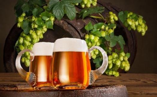 經常飲用啤酒能保持人體骨骼強健 啤酒的種類知多少 