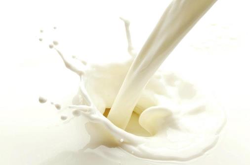 乳制品真的健康嗎？