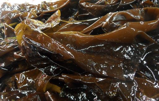 這些人群不宜食用海帶，一點(diǎn)都別沾最好