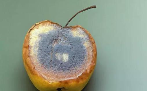 染發(fā)會不會危害健康？3種易致癌的行為應(yīng)立即停止