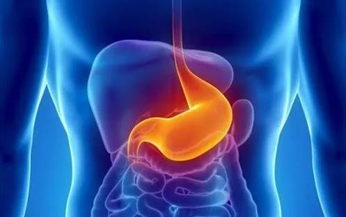 身體器官有哪些弱點？一一揭秘6大器官的弱點