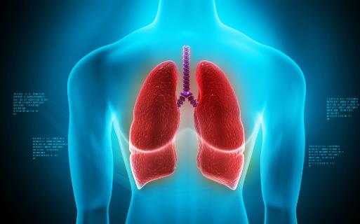 身體器官有哪些弱點？一一揭秘6大器官的弱點