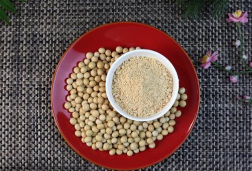 布偶貓吃什么對(duì)毛發(fā)好 原來這些食物就可以