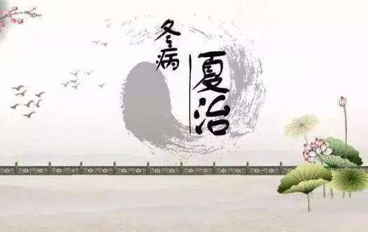 冬病夏治敷貼三伏貼 科學(xué)合理敷貼三伏貼