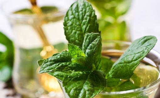 辦公室犯困精神不振 學(xué)會幾款簡單的茶飲迅速提升精力