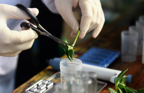 洗蔬菜水果時如何去掉農藥殘留