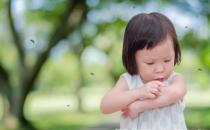 被蚊蟲叮咬后應避免的行為 快速止癢的小方法