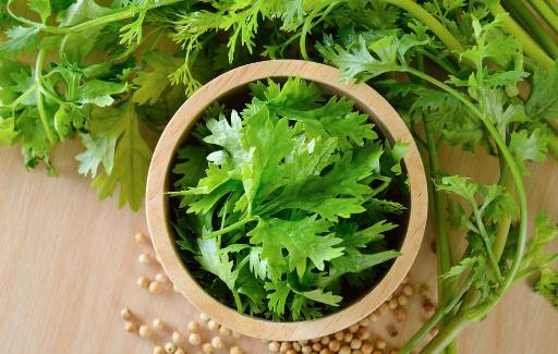 香菜的營(yíng)養(yǎng)價(jià)值 這類人不能吃香菜