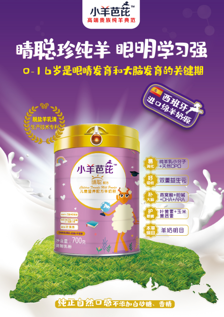 小羊芭芘——西班牙進口“貴族純羊典范，眼明腦聰長的高”