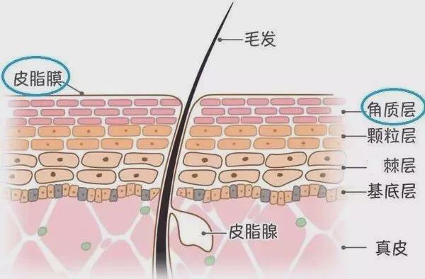 年前肌膚大拯救，萊斯歐肌膚修護(hù)三部曲！