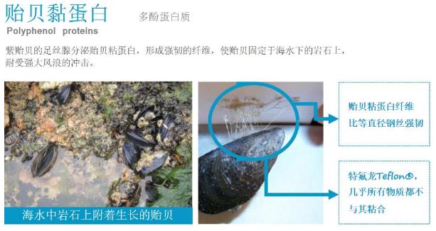 年前肌膚大拯救，萊斯歐肌膚修護(hù)三部曲！