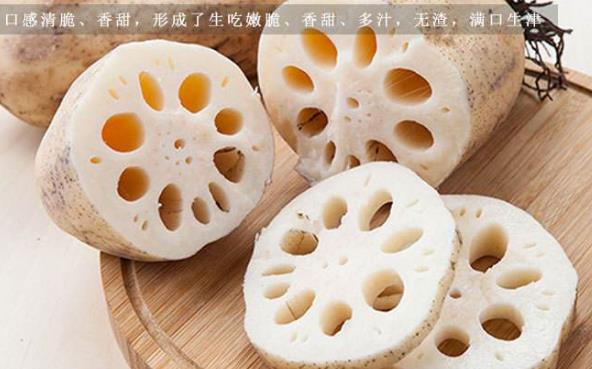 冬天要多吃哪些蔬菜？適宜冬季吃的蔬菜及補血食物推薦