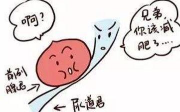 【排尿困難】排尿困難吃什么藥_男女性排尿困難的原因_排尿困難名詞解釋