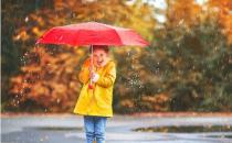 ?讓雨傘長壽從科學保養開始 雨傘去污有訣竅