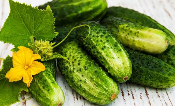 愛(ài)上黃瓜的11個(gè)理由 幾道黃瓜快手菜夏日必備
