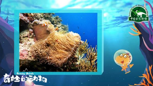 一部非常值得推薦的兒童科普紀錄片—《奇妙的動物》
