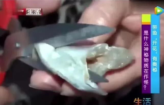 甲醛浸泡過的帶魚一碰熱油就扭曲、炸裂“開花”，千萬別買別吃