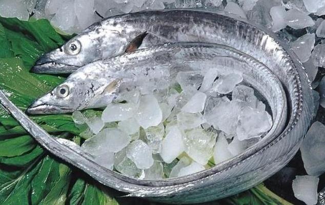 為什么帶魚不能人工養(yǎng)殖？帶魚是深海魚嗎？有什么營(yíng)養(yǎng)價(jià)值
