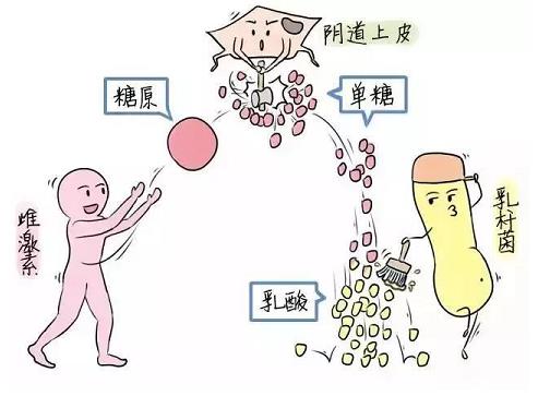 芙美安婦科凝膠丨婦科炎癥反復發作？自從用了它，告別私密困擾！