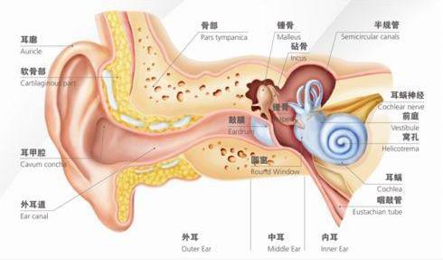 刺啦！聽到了粉筆劃過黑板的聲音 為什么會讓你抓狂？