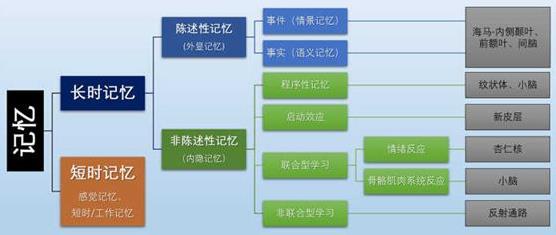 為什么你不記得嬰幼兒時(shí)期發(fā)生的事情？記憶會(huì)一直保留到離開(kāi)人世嗎